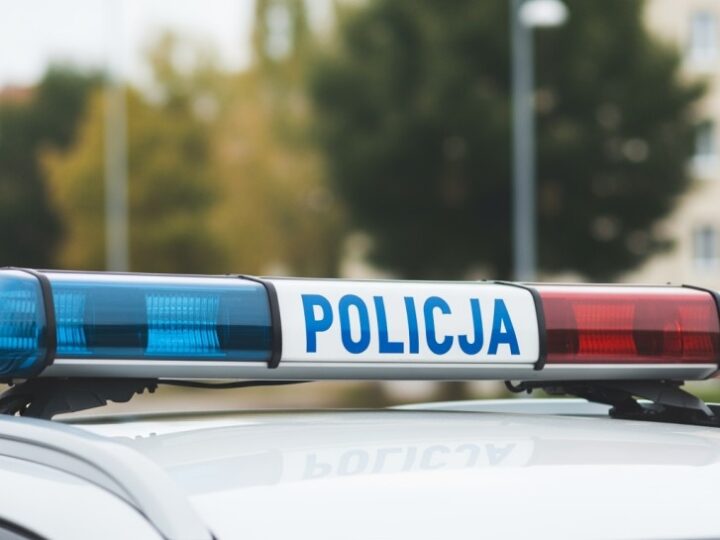 Policyjni przewodnicy psów uczą przedszkolaków bezpieczeństwa