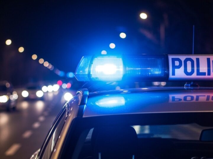 Szczecińska policja rozbija gang złodziei Fiata 500 – aresztowano nietypową sprawczynię!