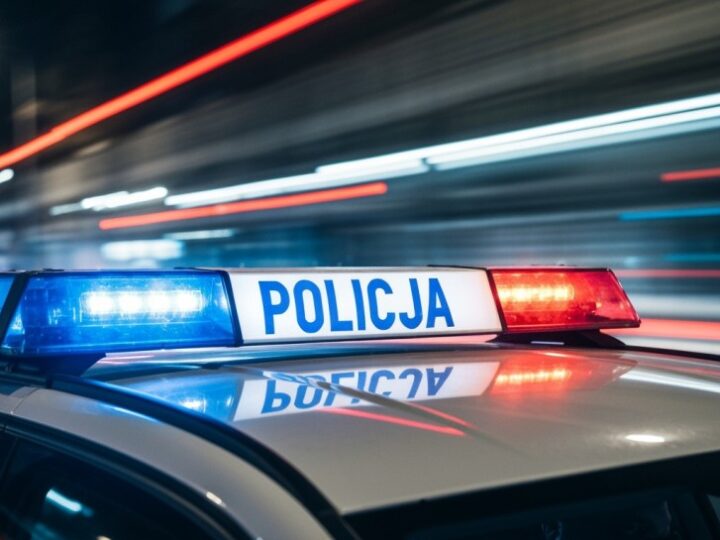 Świąteczna Ochrona Natury: Policja i Straż Leśna w Akcji Przeciwko Kradzieżom