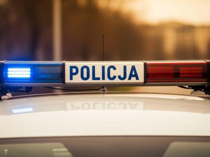 Policyjny pies odnajduje zaginionego mężczyznę ze szpitala