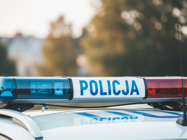 Policjanci z Dąbia rozwiązały sprawę włamań – 37-latek za kratkami!