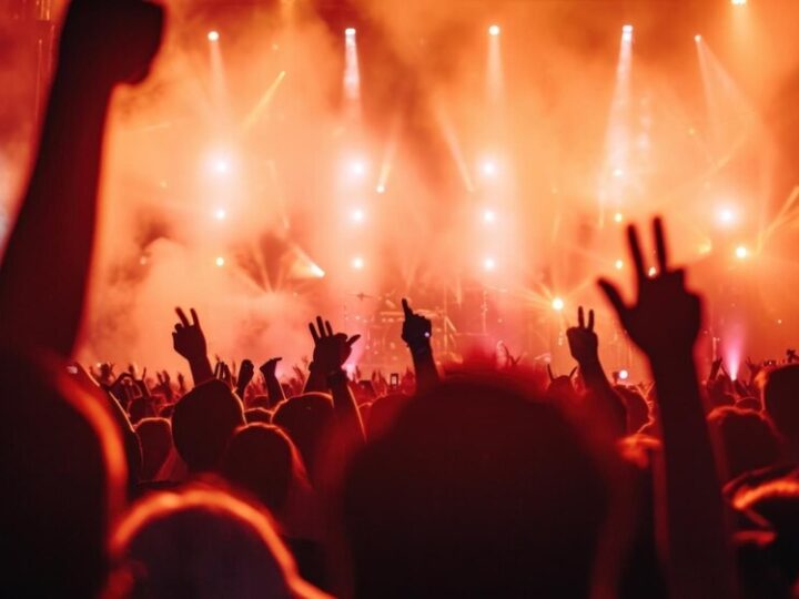 Muzyczna podróż z „Dobrym wiatrem” – Nowy klip Szlakiem Starych Drzew