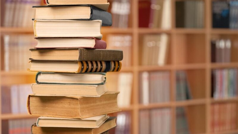 Postapokaliptyczne Szczecin: Młodzi Kadeci w Walce o Przetrwanie