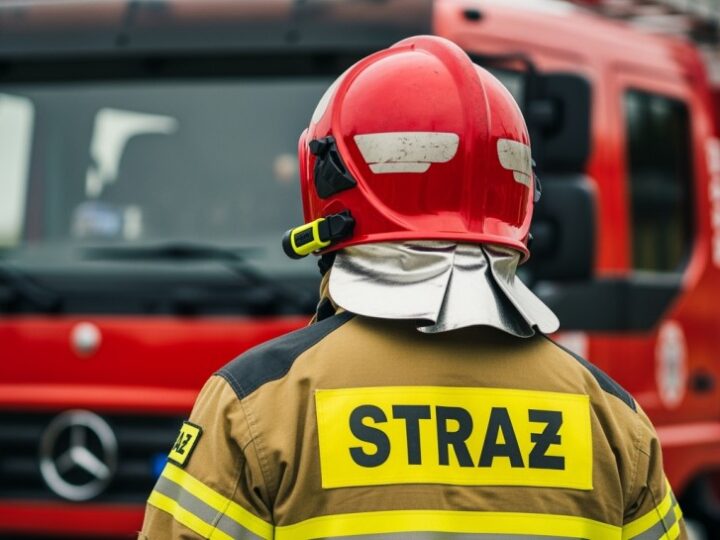 Ochrona zieleni Szczecina – Twoja rola w zachowaniu natury!