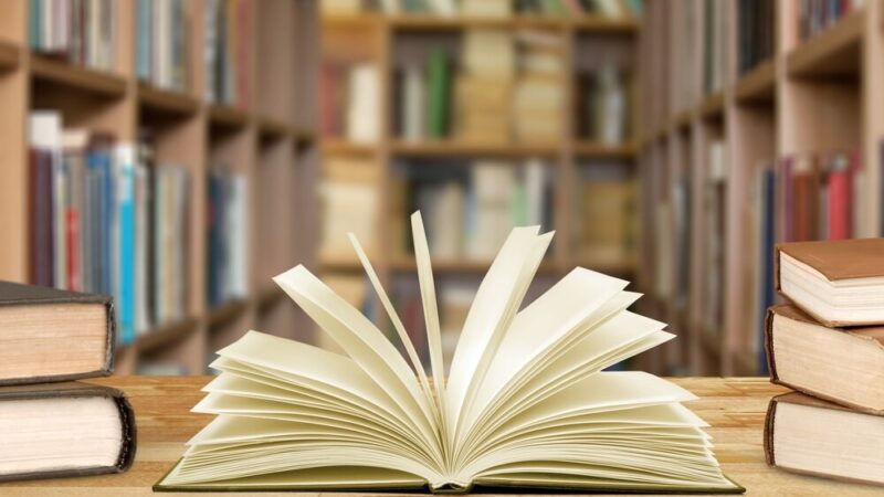 Szczecińskie legendy ożywają podczas letnich spacerów z biblioteką