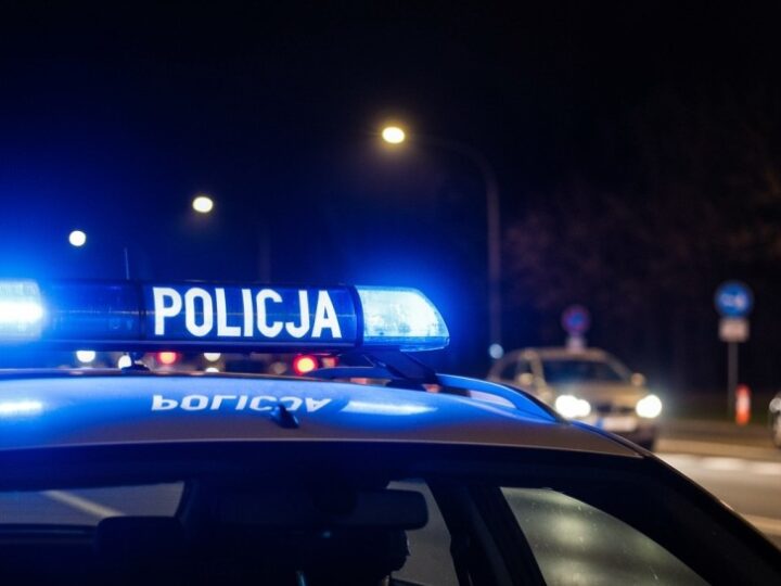 Nietrzeźwa kierująca zatrzymana przez strażników podczas festynu w Szczecinie