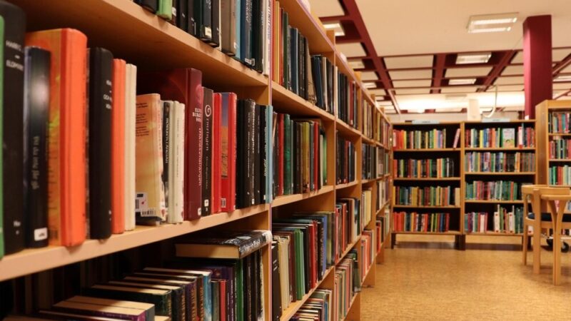 Wrzesień w bibliotece: pełen inspirujących wydarzeń!